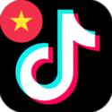 TikTok越南本土后台